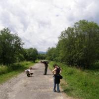 , łukasz i Gocha