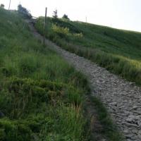 , małgorzata