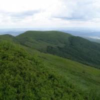 , małgorzata