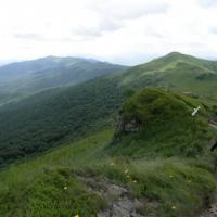 , małgorzata