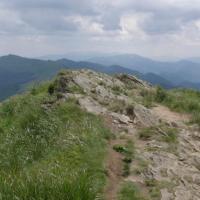 , małgorzata