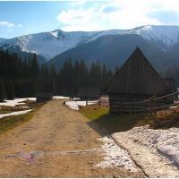Dolina Chochołowska w Tatrach, MM