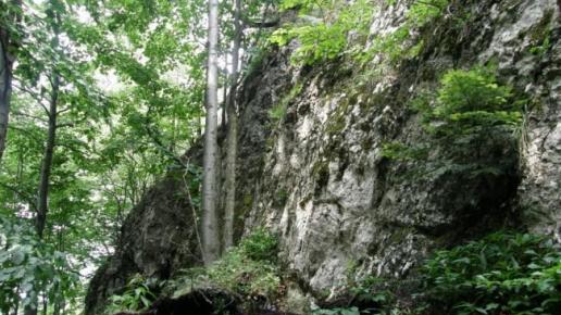 , łukasz i Gocha