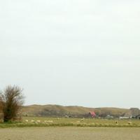 Texel, Marta