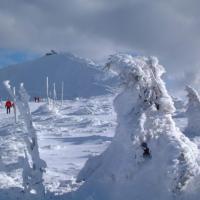 Karkonosze - na Równi pod Śnieżką - w tle szczyt Śnieżki, Midorihato