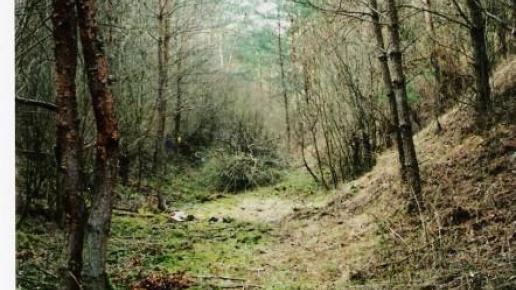 Szlak turystyczno-artystyczny, elzbieta reimus