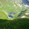widok na Raczkowe Stawy, ania