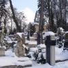 Cmentarz Orląt, karolina tomaszewska
