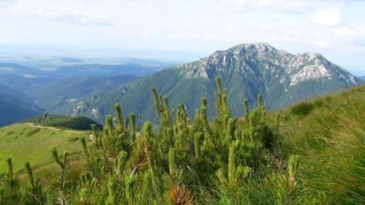 widok Z Trzydniowiańskiego Wierchu, ania