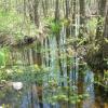 Bagno, Agatka