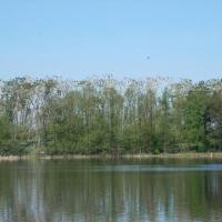 Czapliniec, Agatka