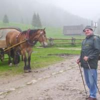 , Janek
