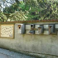 , MARTUSIA I ADAŚ