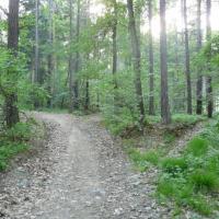 , MARTUSIA I ADAŚ
