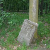 , MARTUSIA I ADAŚ