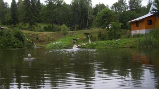 Hodowla pstrąga Przysłup., Janek