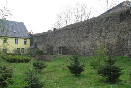 Średniowieczne fortyfikacje miasta Świebodzice, Darek