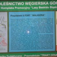 Przed Waligórą, Ola Dzitkowska