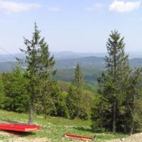 , MARIUSZ