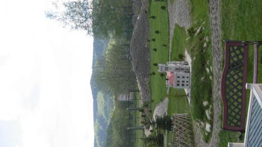 , MARTUSIA I ADAŚ