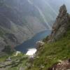 , Janek
