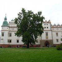 drzewo tulipanowca przed zamkiem, Kinga