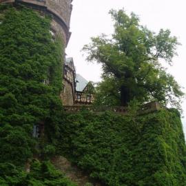 Zamek w Książu, Danusia