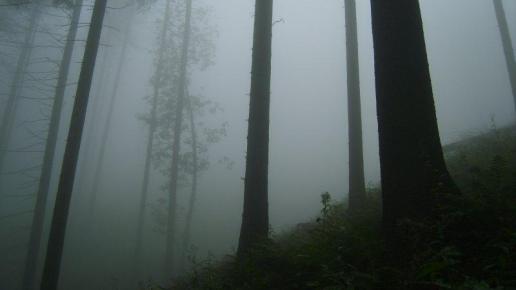 Mgła w lesie, Łukasz