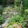 Ogród Botaniczny w Gołubiu, Danusia