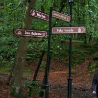 , Tadeusz - WIARUSY