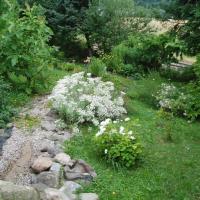 Ogród Botaniczny w Gołubiu, Danusia