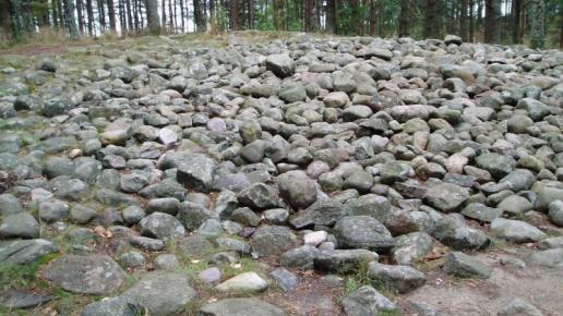 Kamienne kręgi w Węsiorach, Danusia