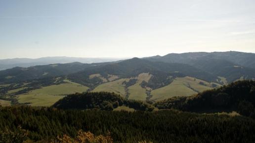 Widok z Wysokiej, Piotr Kuzia