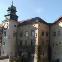 , Katarzyna K