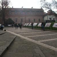, Katarzyna K
