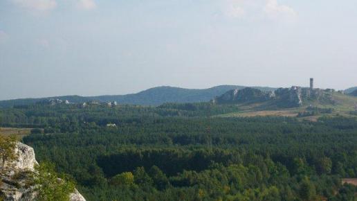 widok na Olsztyn z gór Towarnych, ivona