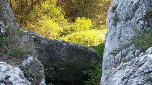 Widok ze skały pod Strażnicą..., ivona