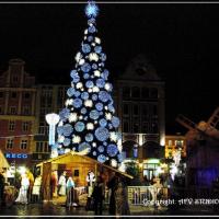 Wrocław - świąteczna żywa szopka Bożonarodzeniowa i choinka na wrocławskim rynku, Andrzej Mas