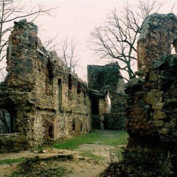 Ruiny Starego Książa, Tadeusz Walkowicz