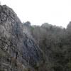 Cheddar Gorge, Bogumiła