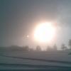, Janusz K