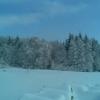 , Janusz K