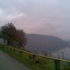 , Janusz K