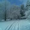 , Janusz K