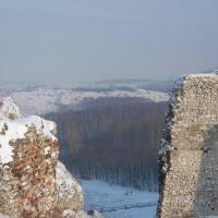 , ivona