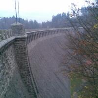 , Janusz K