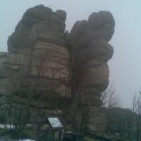 , Janusz K