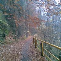 , Janusz K
