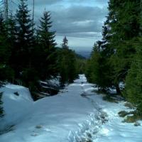 , Janusz K