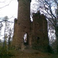 , Janusz K